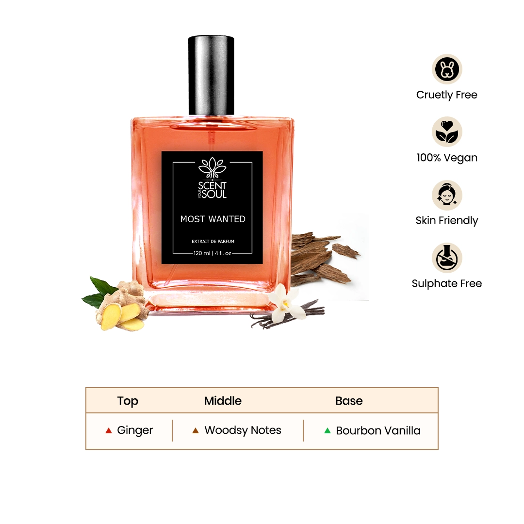 Most Wanted Extrait De Parfum Spray for Women & Men | Vanilla Woody Warm Spicy - Scent Your Soul
