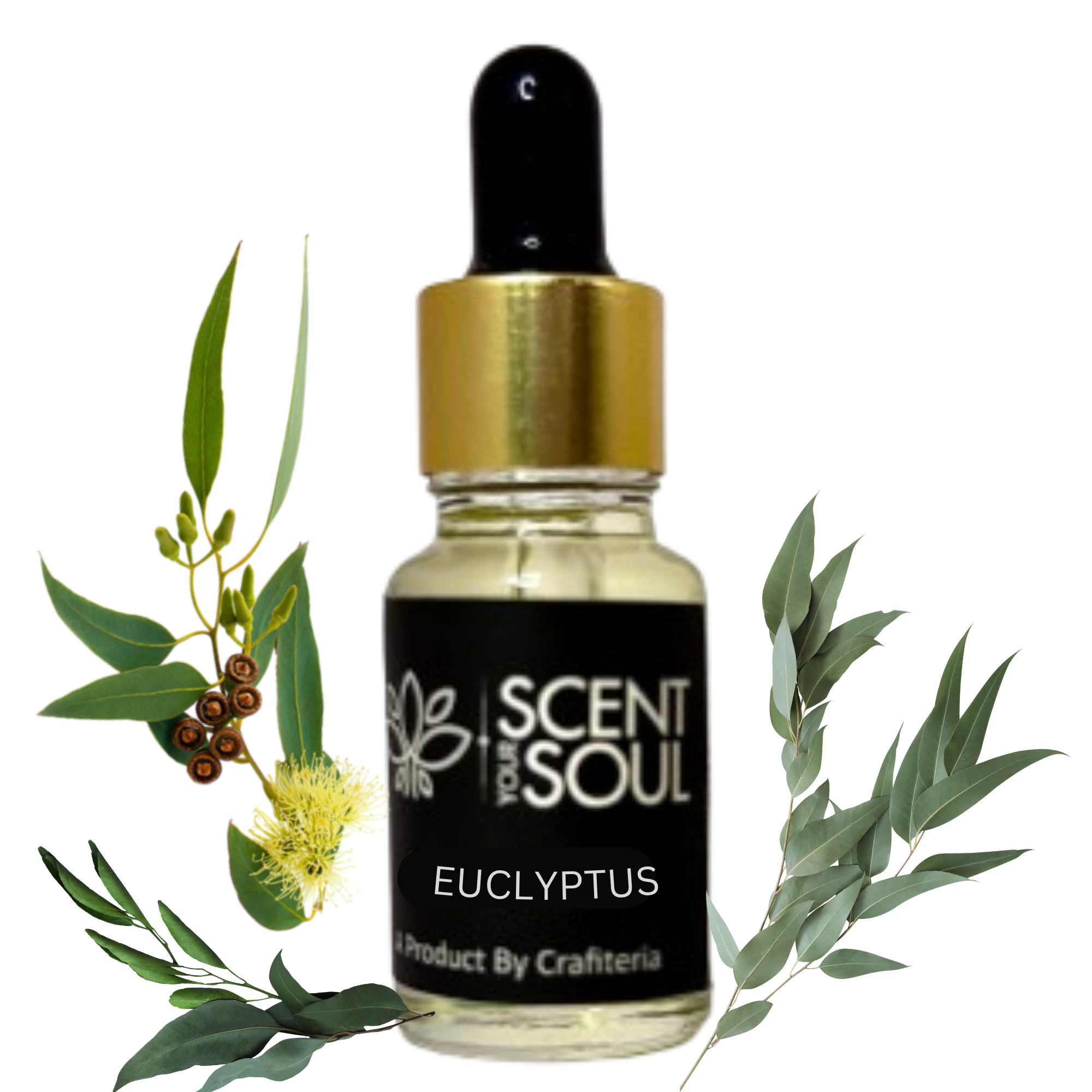 Euclyptus Diffuser Oil