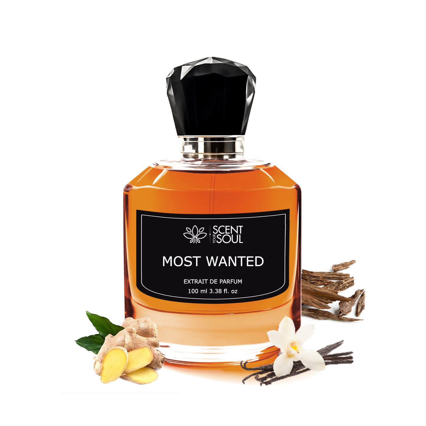 Most Wanted Extrait De Parfum Spray for Women & Men | Vanilla Woody Warm Spicy - Scent Your Soul